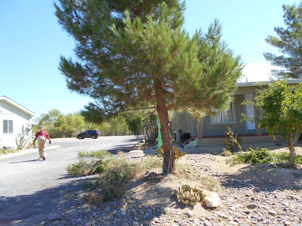Atomic Inn Beatty Near Death Valley Esterno foto